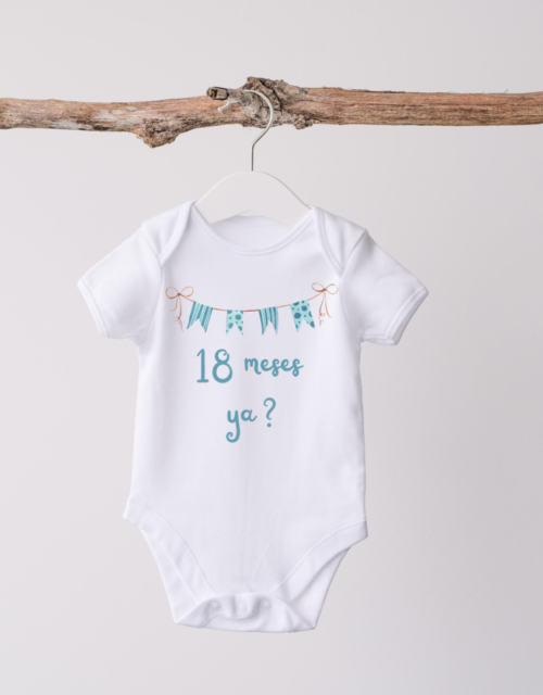 18 meses